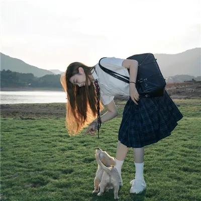 扶桑有狐