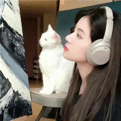 虎王归来